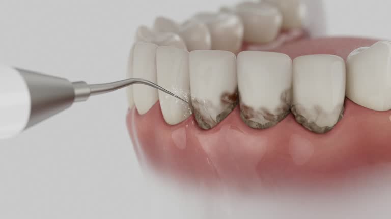 Reliable Dental contractor in Porter Heights, TX by Dentist Open Now